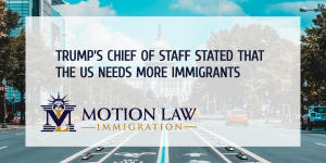 Trump's chief of staff stated that we need more immigrants, Washington DC 2020