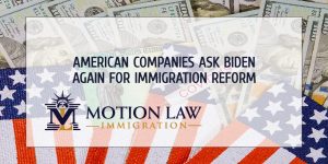 Business sector continues to call on Biden to modify immigration policies