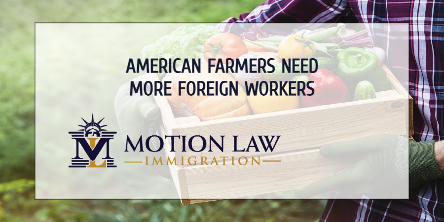 Farmers need to hire more foreign workers