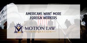 Poll - Americans support business immigration