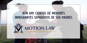 Cientos de menores de edad inmigrantes no han podido encontrar a sus parientes