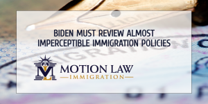 Almost imperceptible revisions to the immigration system