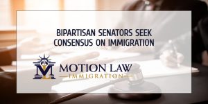 Senators resume bipartisan talks on immigration