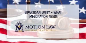 Political leaders must unite to fix immigration system