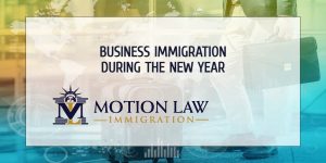 What will business immigration bring in 2023?