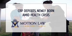 CBP deported newly born American citizens