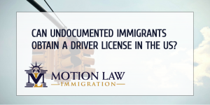 United States and driver license for undocumented