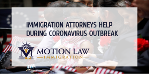 Immigration help during coronavirus outbreak