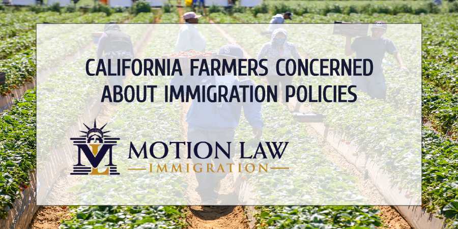 Farmers ask the government to allow undocumented immigrants to work