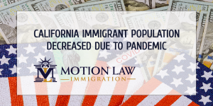 Immigrant population decreased during pandemic across the US - Research shows