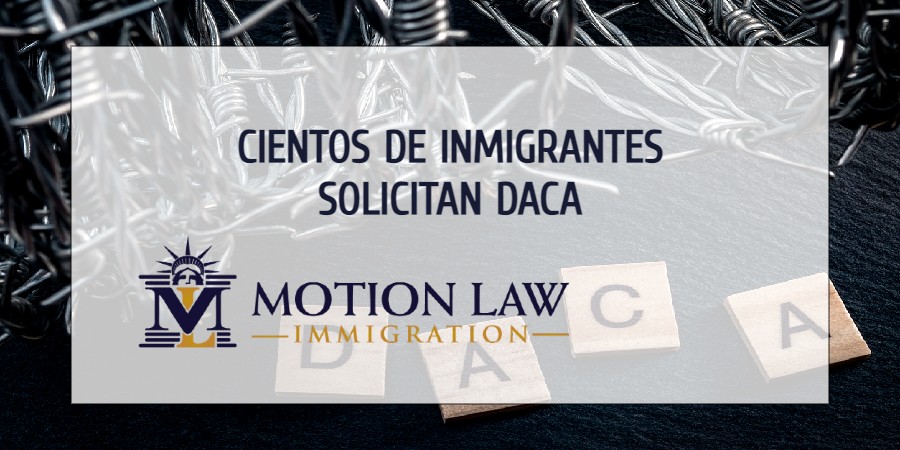 Cientos de inmigrantes aprovechan la oportunidad para aplicar a DACA