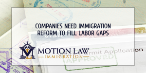 Immigration reform would help local companies