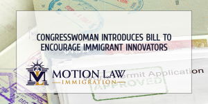 Congresswoman introduces bill to help immigrant entrepreneurs