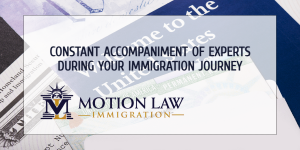 Start your immigration journey with the help of experts