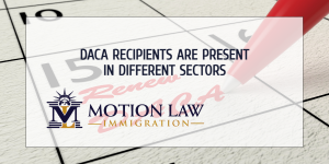 DACA recipients are part of multiple sectors