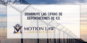 ICE reporta reducción en la detención de inmigrantes