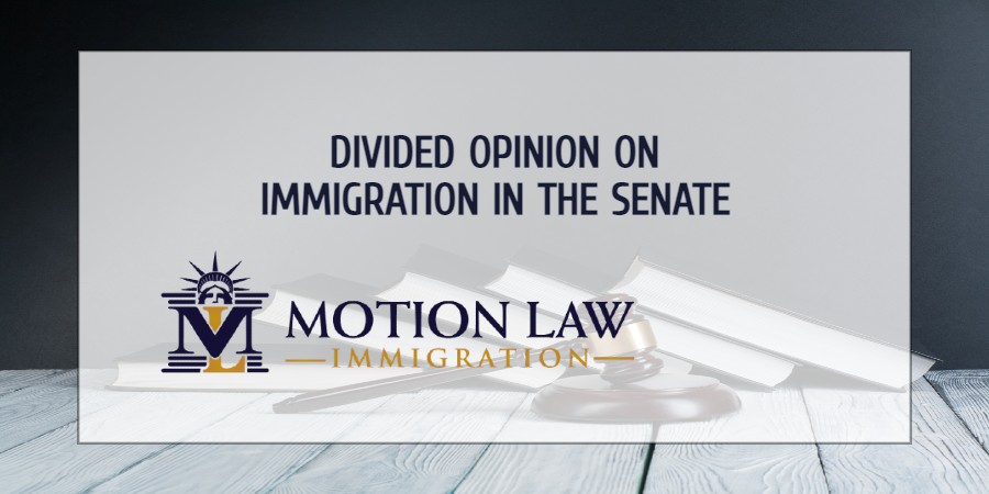 Senate faces mammoth debate on immigration