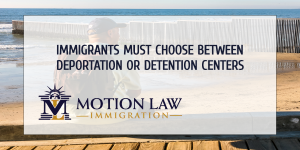Avoid reaching the borders and get specialized help for your immigration case