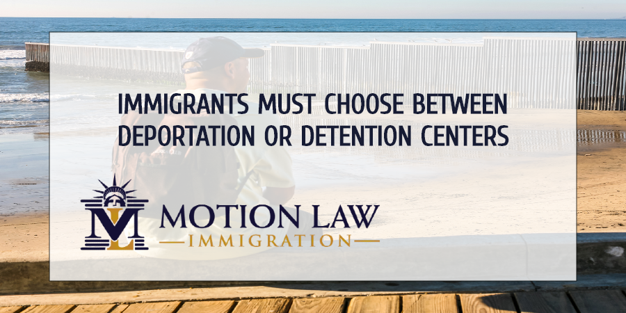 Avoid reaching the borders and get specialized help for your immigration case