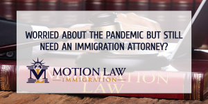 Expert immigration attorneys in DC