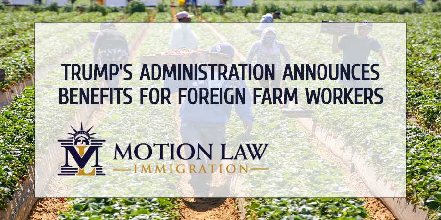 Foreign farm workers can now extend employment permits