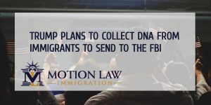 DNA testing in immigrants for crime scenes