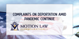 Immigrant rights advocates raise their voice against deportations amid pandemic