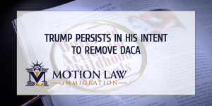 Trump wants to try to remove DACA again