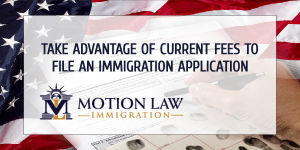 File your immigration application before fees increase