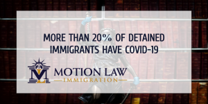 4,444 detained immigrants are infected with COVID-19