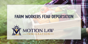 If farm workers get Coronavirus, they might be deported