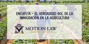La inmigración como pilar de la agricultura