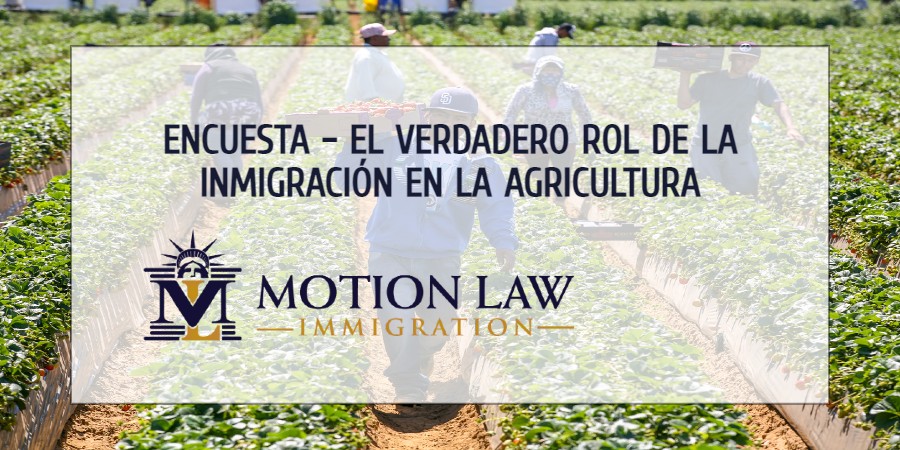 La inmigración como pilar de la agricultura