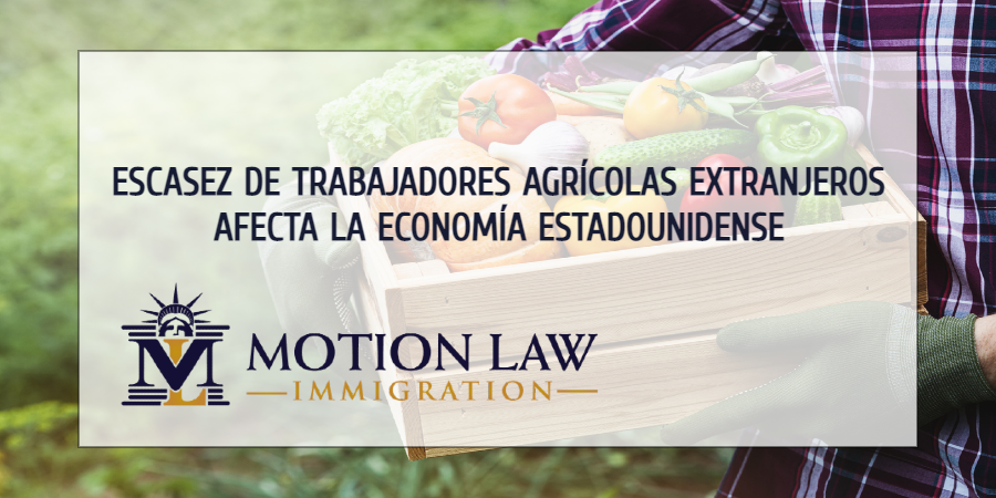 Estados Unidos necesita extranjeros para tapar huecos de trabajadores agrícolas