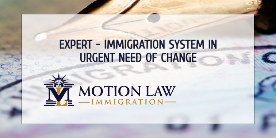 Expert comments on the local immigration system