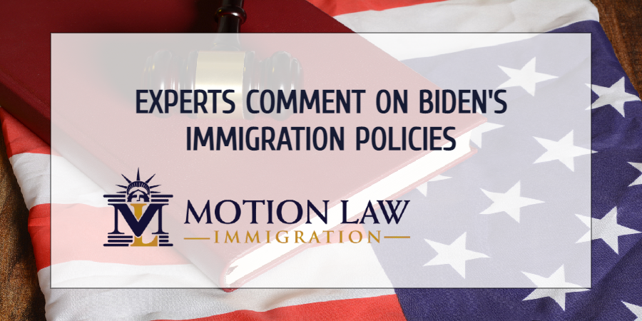 Experts comment on the incoming government's immigration proposals