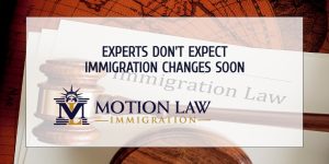 Experts don't expect immigration changes after the elections
