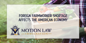 The US needs foreign nationals to fill farmworker gaps
