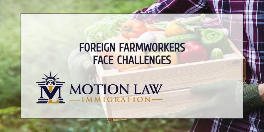 Undocumented farmworkers report labor abuse