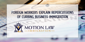 Qualified foreign workers comment on business immigration restrictions
