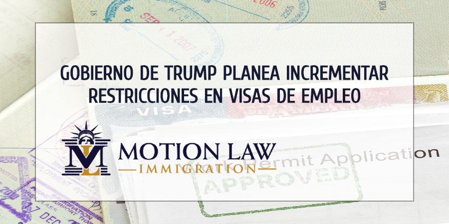 Oficiales de Trump anuncian restricciones en visas basadas en el empleo