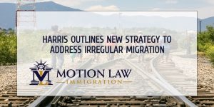 Harris proposes new strategy to curb irregular migration