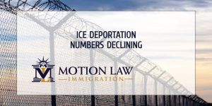 ICE Reports Decrease in Immigration Detention