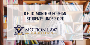 New ICE unit to supervise the OPT program