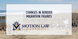 Changes in Border Migration Figures