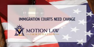 The importance of bringing change to the immigration courts