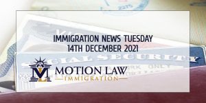 Immigration News Recap 14th December 2021