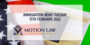 Your Summary of Immigration News in 15th February 2022