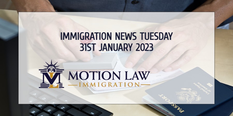 Your Summary of Immigration News in 31st January 2023