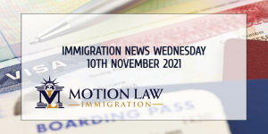 Your Summary of Immigration News in 10th November 2021